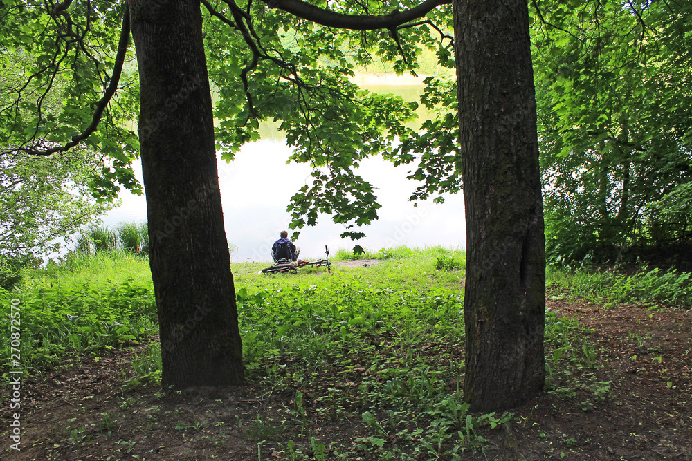 Beautiful natural Park on a clear summer day with green trees