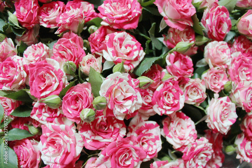 Large bouquet of pink roses on the floor