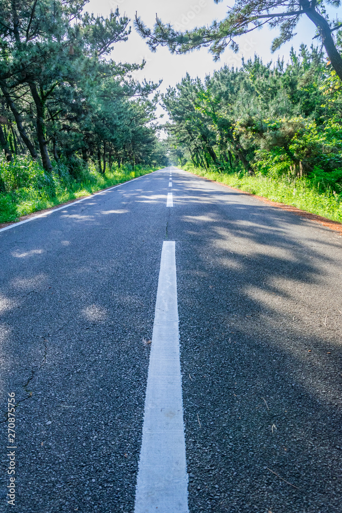 Obraz premium まっすぐな道