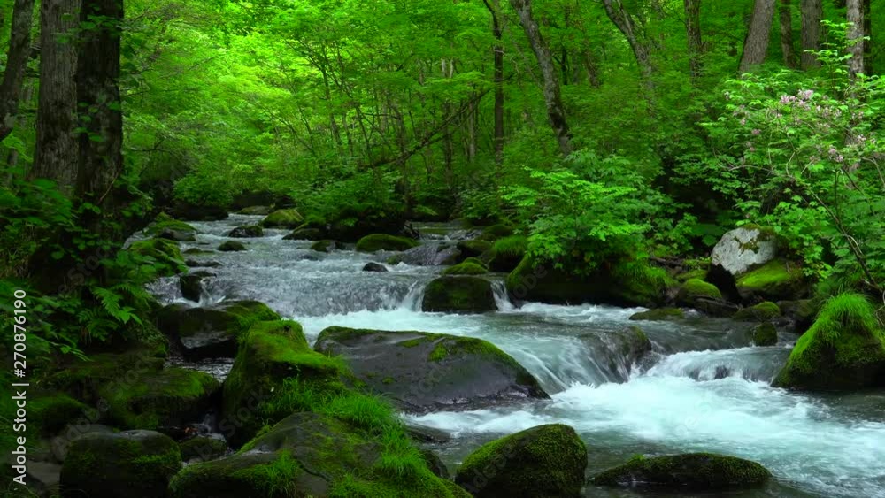 Mountain Stream / Oirase Stream	