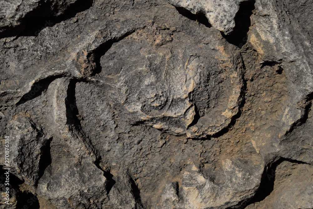 Naklejka premium The element of the gate of Hadrian on the ground near the gate. Ruins of ancient construction.