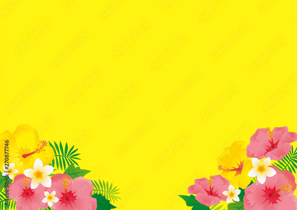 Obraz premium ハイビスカスのイラスト