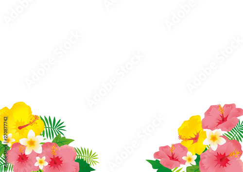 ハイビスカスのイラスト