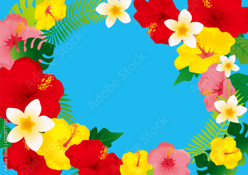 ハイビスカスのイラスト