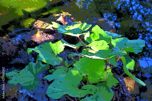 Leaves in Croatia