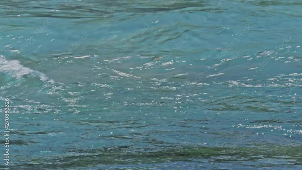 川の流れ 上高地の清流梓川 長野県