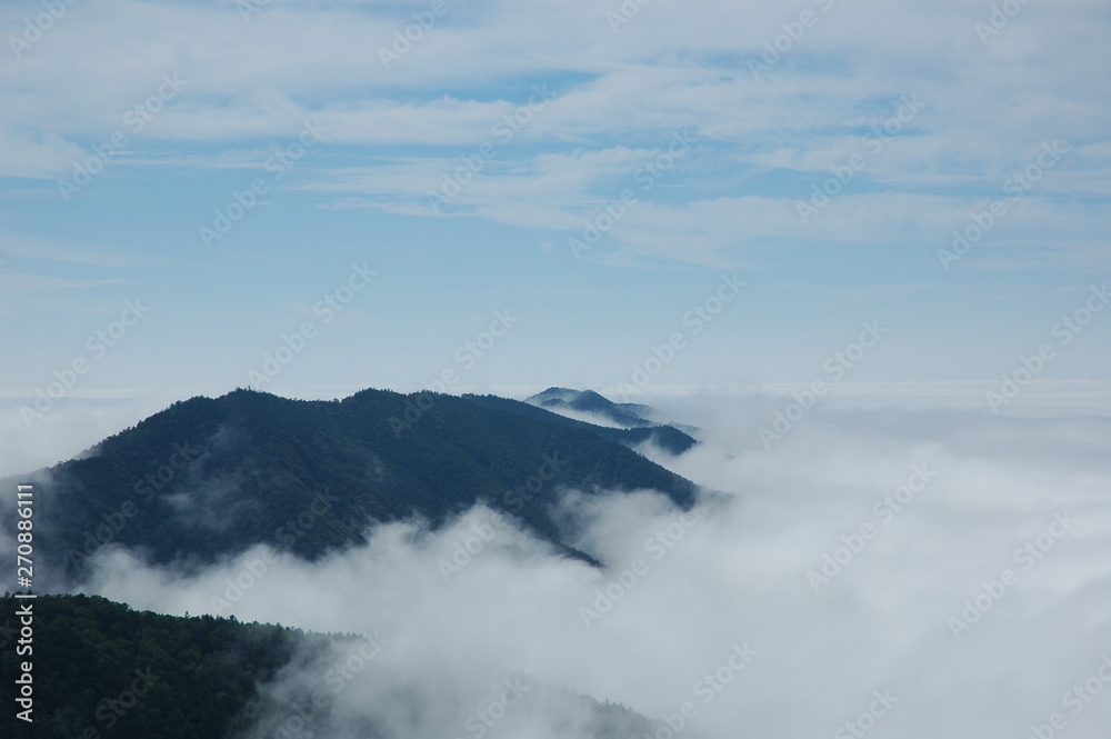 大菩薩嶺登山