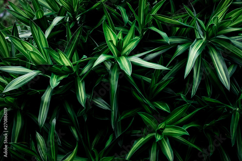 Green leaves pattern