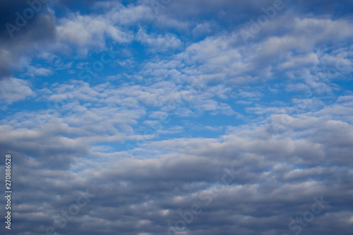 Fototapeta Naklejka Na Ścianę i Meble -  dark cumulus clouds with plumose clouds in the blue sky 