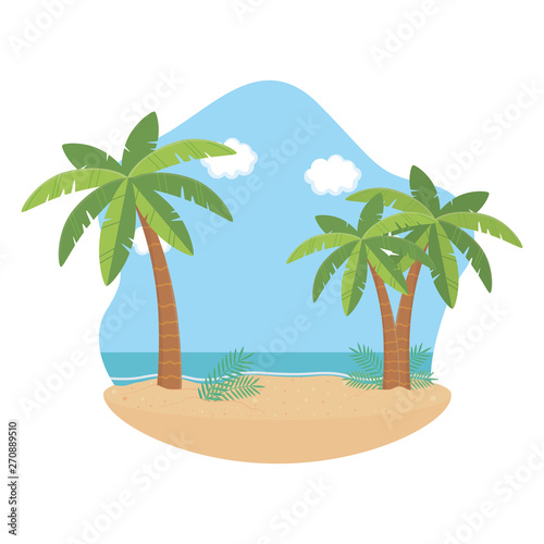 Palm tree design  Summer vacation vector illustration