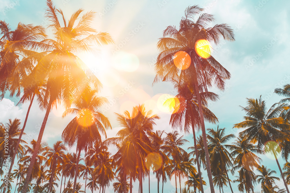 Fototapeta premium Tropikalna palma z kolorowe bokeh światło słoneczne na zachód słońca niebo chmura streszczenie tło.