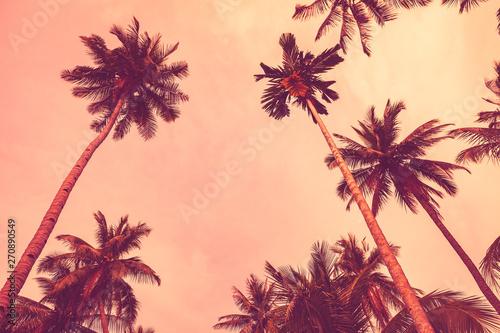 Tropikalny drzewko palmowe z kolorowym bokeh słońca światłem na zmierzchu nieba chmury abstrakta tle.