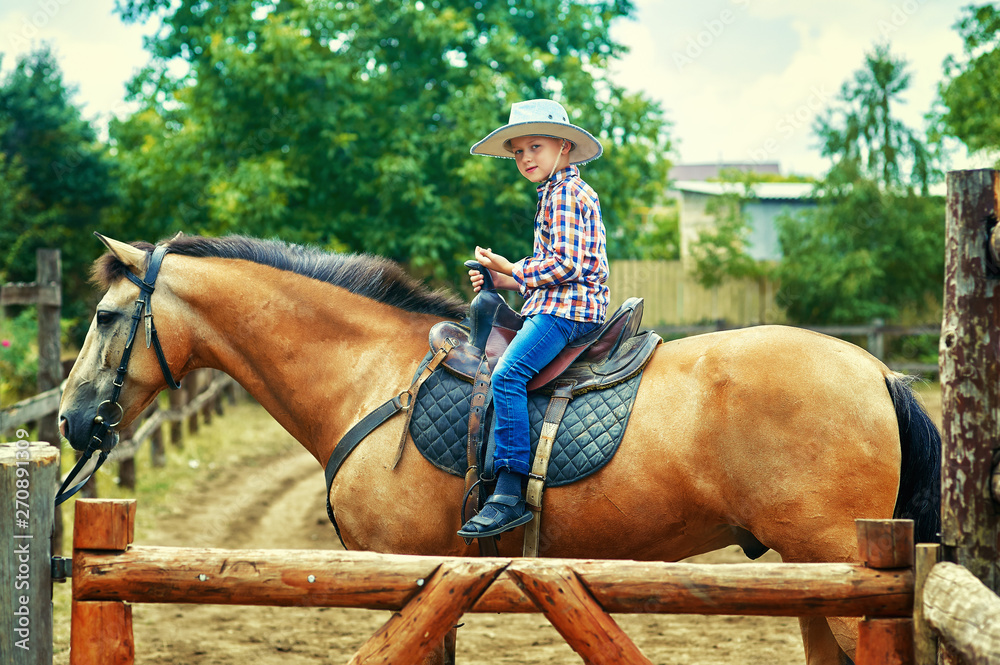 A little boy riding a horse . Children's horse riding lessons and walks