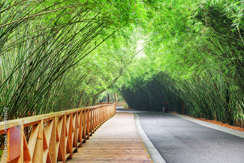 Wooden walkway along winding road among bamboo woods © efired