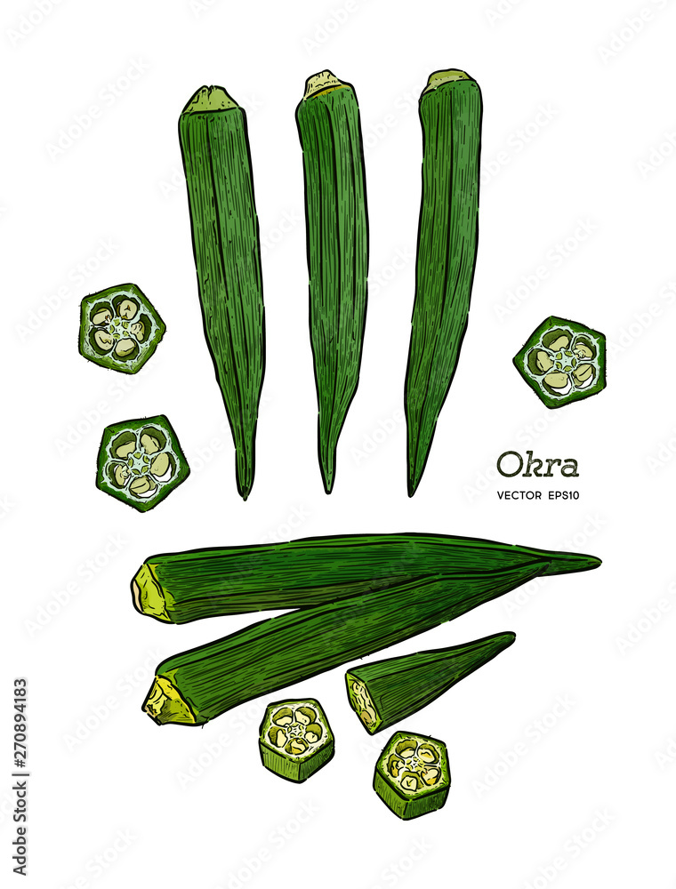 Vegetables. vector illustration © ddraw (#4483315)