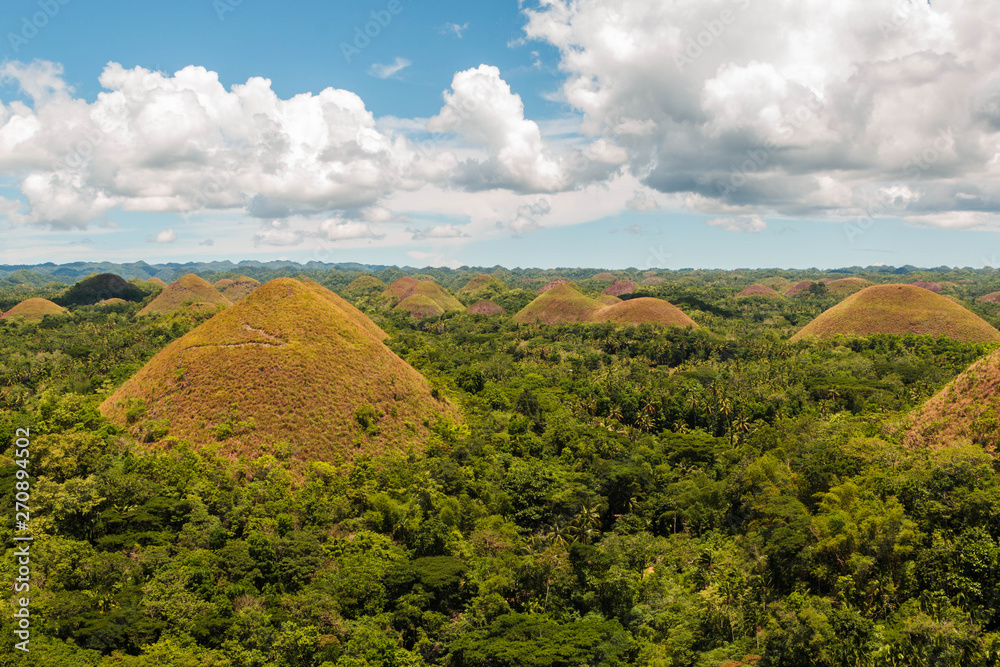 Fototapeta premium Chocolate Hills in Bohol, The Philippines. Bohol's most famous tourist attraction