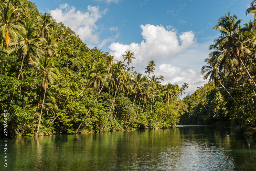 Sailing above Loboc River in Bohol Island, Philippines Sailing above Loboc River in Bohol Island, Philippines