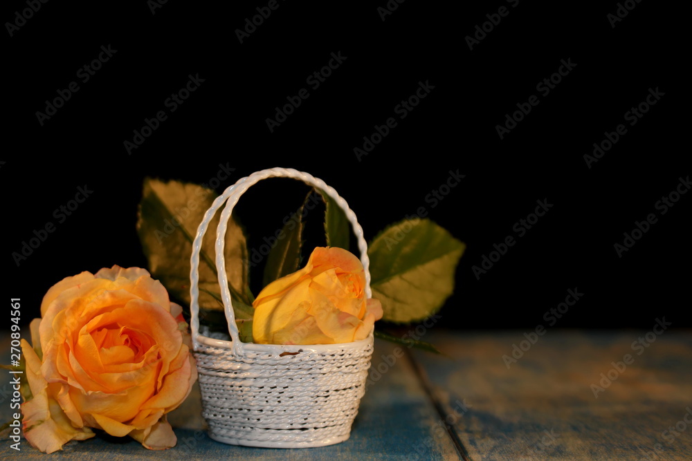  beautiful yellow roses with and green leaves in a beautiful white basket lie on blue wooden boards on a black background 