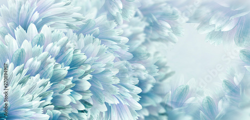 Floral turquoise beautiful background.  Flowers and petals  dahlia  close-up.   Flower composition. Greeting card for the holiday. Nature.