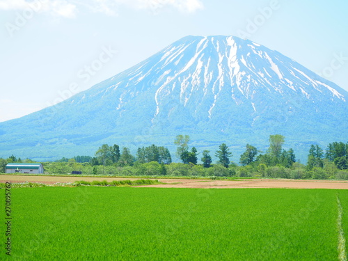 北海道の風景 初夏の羊蹄山