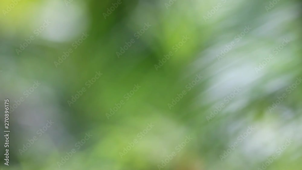 Defocused green nature background. Defocused green nature background.