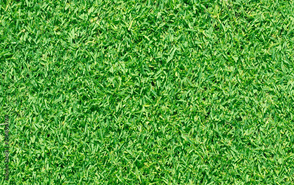 Green grass