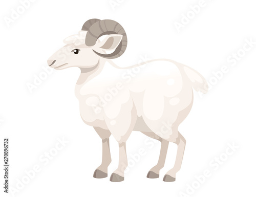 White horned mountain ram sheep cartoon character design flat vector animal illustration isolated on white background