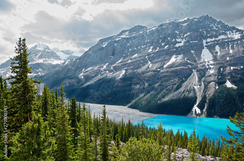 mountain landscape with pine forest and turquoise Peyto lake, Banff National Park, Alberta, Canada