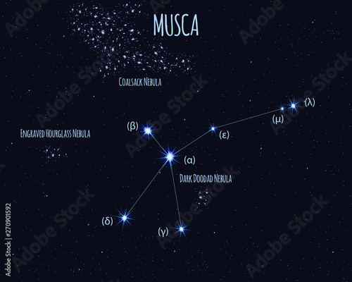 Musca (The Fly) constellation, vector illustration with basic stars against the starry sky photo