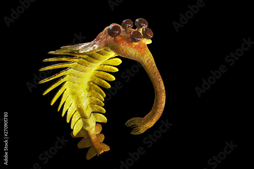 Opabinia regalis, prehistoric aquatic animal from the Cambrian Period isolated on black background photo