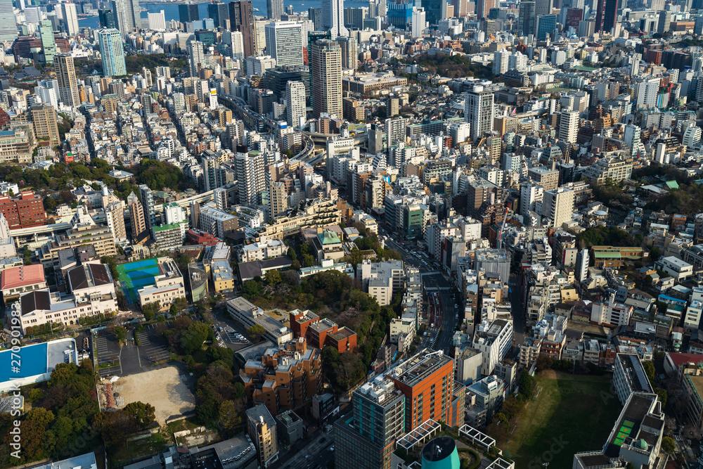 Obraz premium Tokyo city, Japan