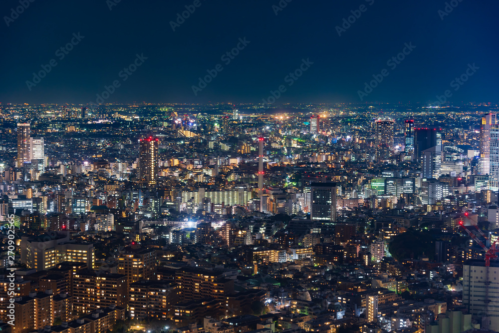 Tokyo city at twilight, Japan