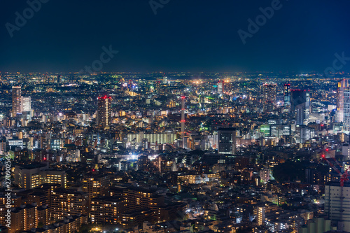 Tokyo city at twilight, Japan
