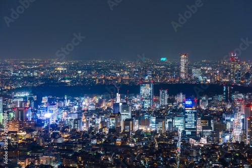 Tokyo city at twilight, Japan © geargodz