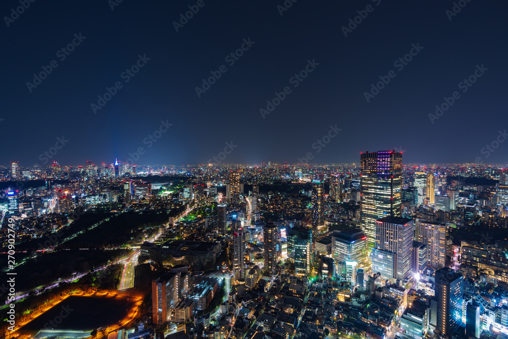 Fototapeta premium Tokyo city at twilight, Japan
