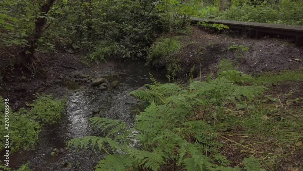 Pan across flowing creek waters in dense botanical woodland foliage. Fern leaves blowing in breeze, Slow motion. Pan across flowing creek waters in dense botanical woodland foliage. Fern leaves blowing in breeze, Slow motion.
