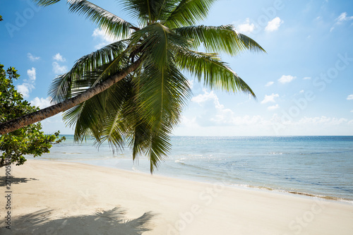 Scenic View Of Turtle Bay  Mahe Island  Seychelles