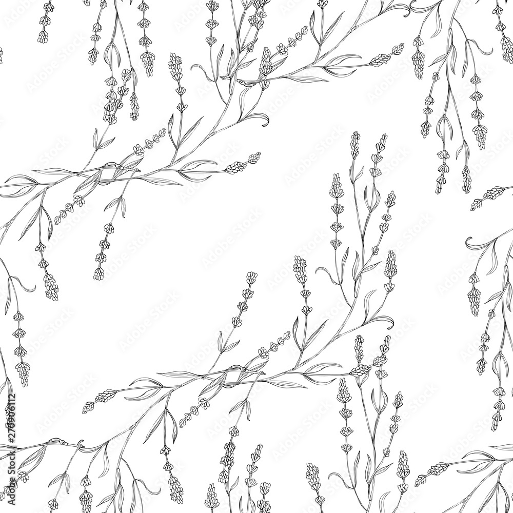Lavander seamless pattern. Surface pattern design. Flower botanical art natural