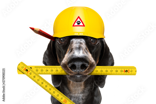 handyman worker hammer dog with helmet © Javier brosch