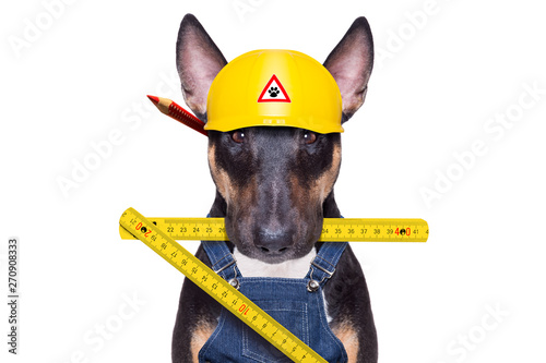 handyman  dog with tool in mouth © Javier brosch