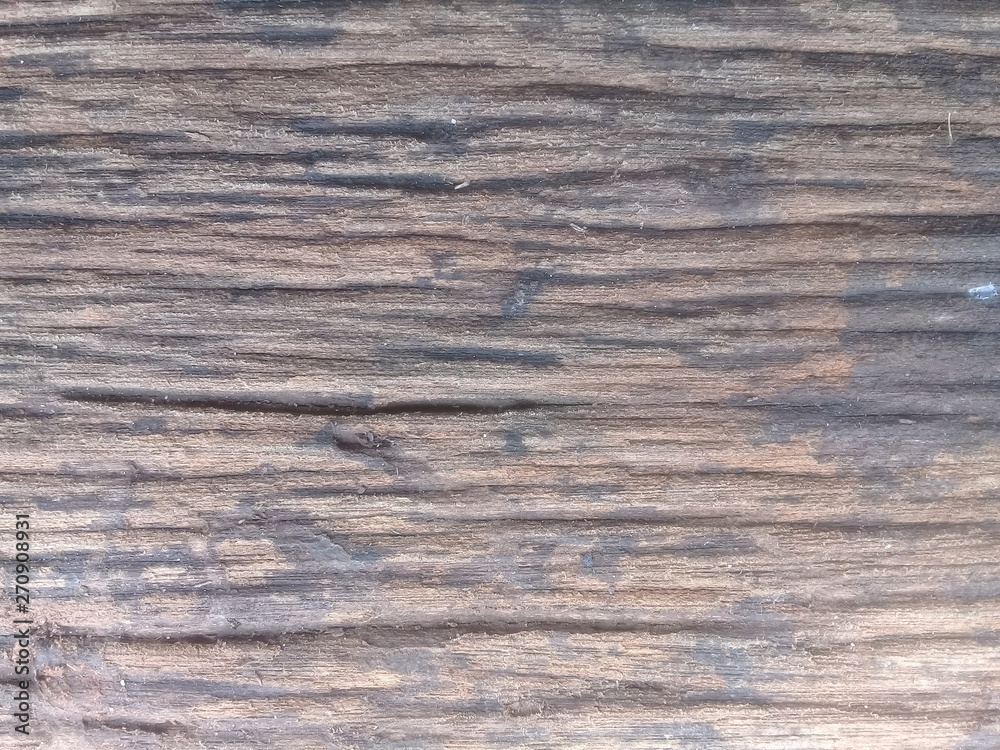 Fototapeta premium texture of wood