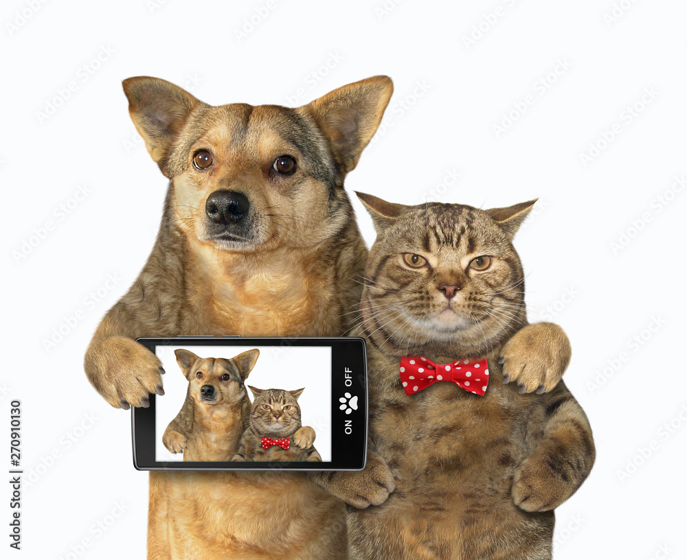The dog with a smartphone and cat in a red bow tie made selfie together. White background. Isolated.