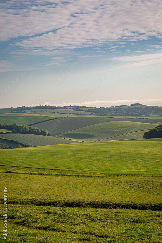 Rolling countryside in the South Downs in Sussex, with morning light