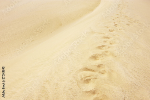 Solitary desert footprints in the sand texture background simple relaxing