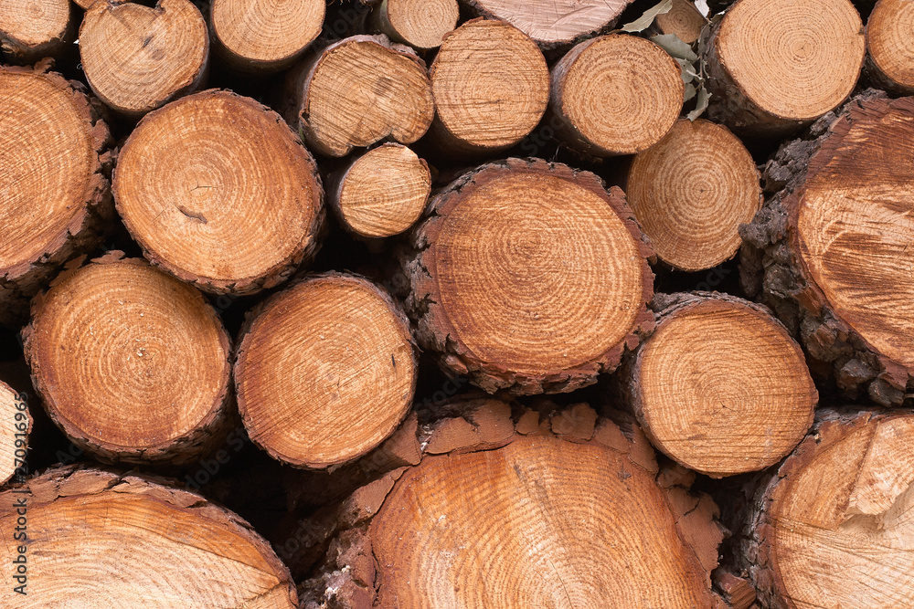 A stack or pile of sawed wood with year rings texture A stack or pile of sawed wood with year rings texture