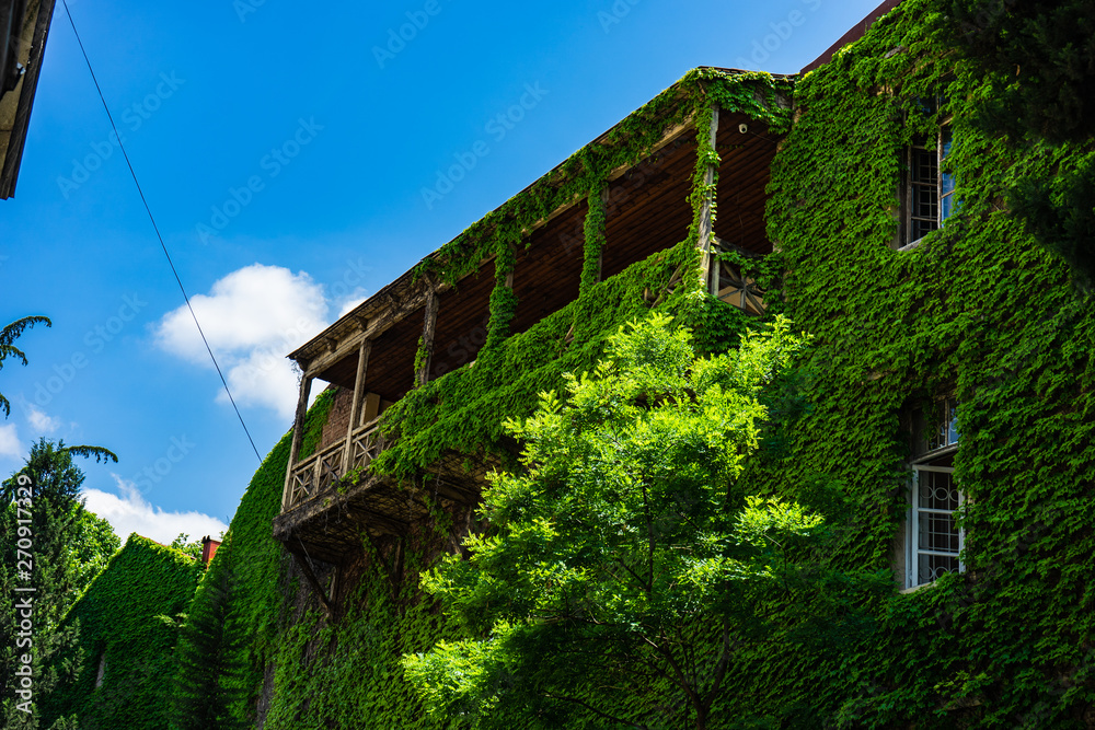 Summer time in Tbilisi