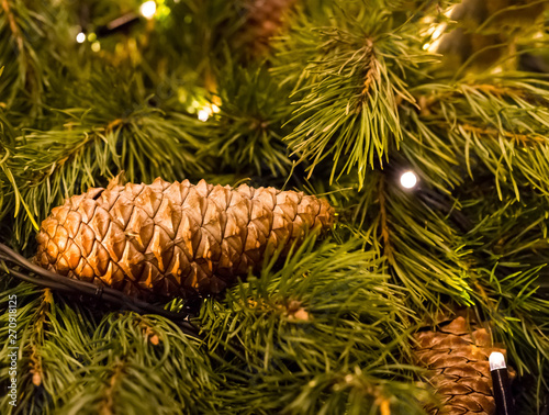 brown fir cone long on green fluffy festive spruce festive garland close-up