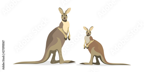 Cute kangaroo isolated on white background flat vector illustration