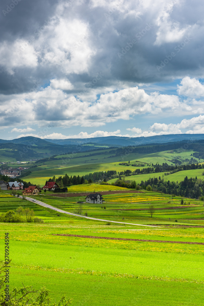 Rolling hills with meadows at sunny summer day. Countryside landscape.