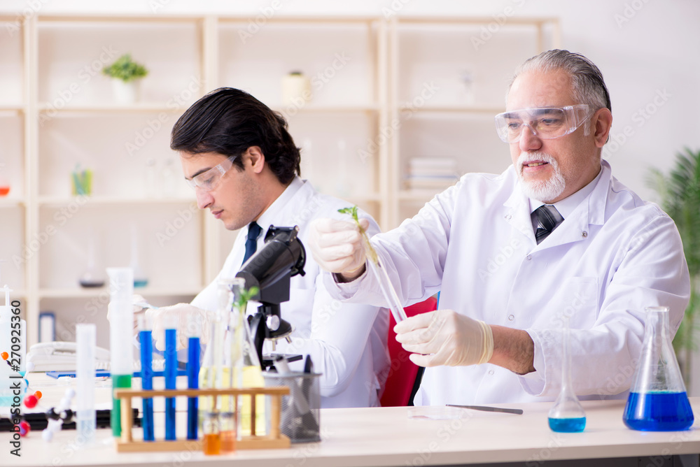 Two chemists working in the lab Two chemists working in the lab